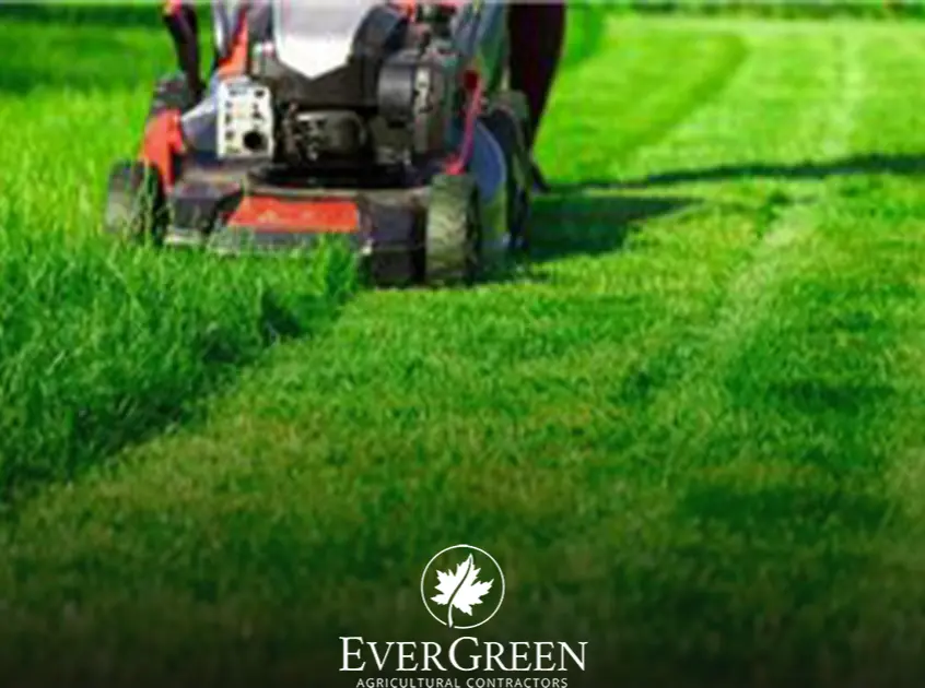 landscaping company names