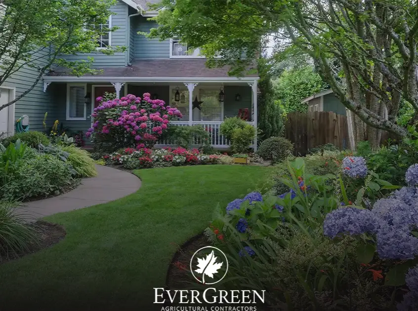 Simple landscape design for front of house